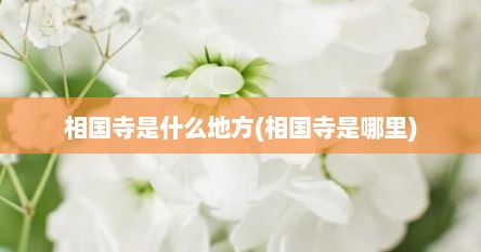 相国寺是什么地方(相国寺是哪里)