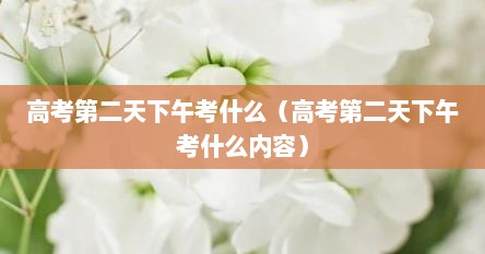 高考第二天下午考什么（高考第二天下午考什么内容）