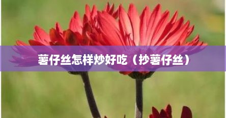 薯仔丝怎样炒好吃（抄薯仔丝）