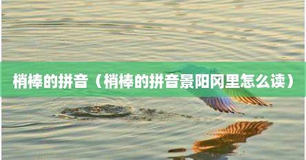 梢棒的拼音（梢棒的拼音景阳冈里怎么读）