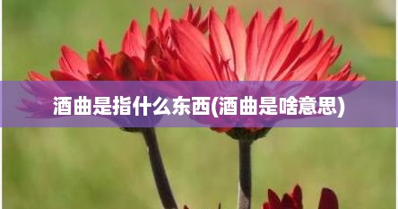 酒曲是指什么东西(酒曲是啥意思)