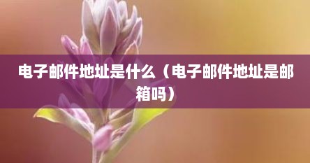 电子邮件地址是什么(电子邮件地址是邮箱吗)