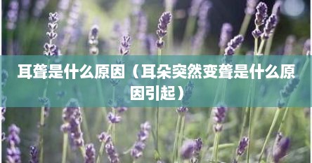 耳聋是什么原因（耳朵突然变聋是什么原因引起）
