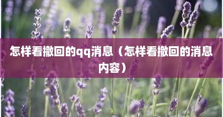 怎样看撤回的qq消息（怎样看撤回的消息内容）