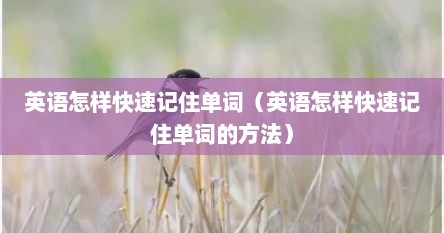 英语怎样快速记住单词（英语怎样快速记住单词的方法）