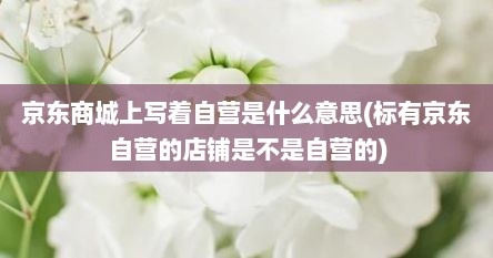 京东商城上写着自营是什么意思(标有京东自营的店铺是不是自营的)