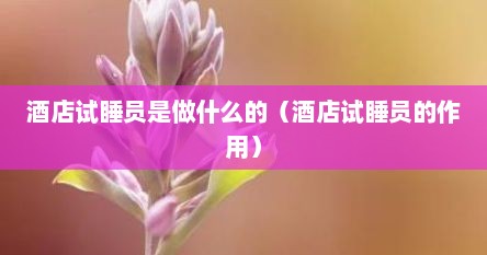 酒店试睡员是做什么的（酒店试睡员的作用）