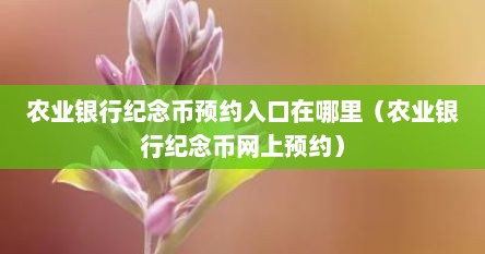 农业银行纪念币预约入口在哪里（农业银行纪念币网上预约）