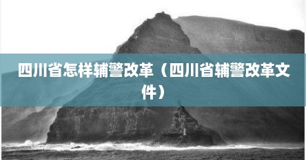 四川省怎样辅警改革（四川省辅警改革文件）