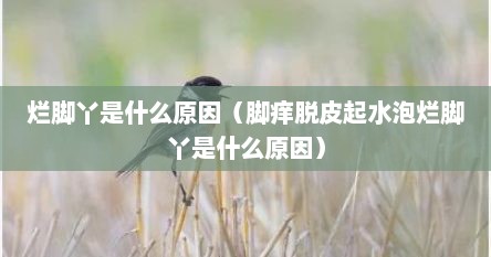 烂脚丫是什么原因（脚痒脱皮起水泡烂脚丫是什么原因）