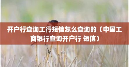 开户行查询工行短信怎么查询的（中国工商银行查询开户行 短信）