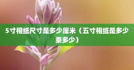 5寸相纸尺寸是多少厘米（五寸相纸是多少乘多少）