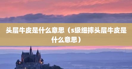 头层牛皮是什么意思（s级细摔头层牛皮是什么意思）