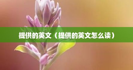 提供的英文（提供的英文怎么读）