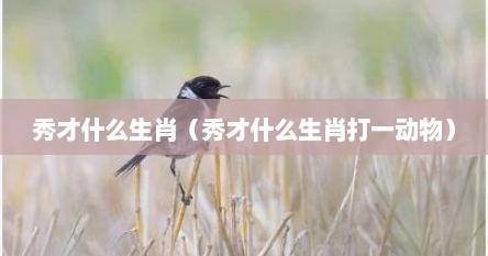 秀才什么生肖（秀才什么生肖打一动物）