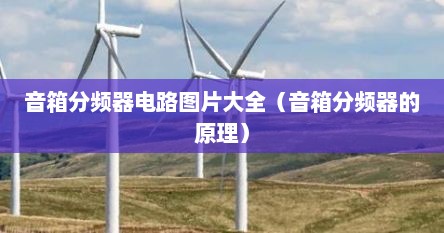 音箱分频器电路图片大全（音箱分频器的原理）