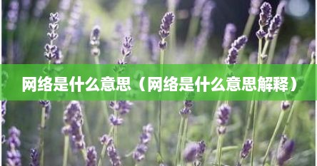 网络是什么意思（网络是什么意思解释）