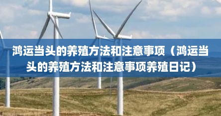 鸿运当头的养殖方法和注意事项（鸿运当头的养殖方法和注意事项养殖日记）