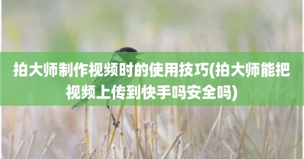 拍大师制作视频时的使用技巧(拍大师能把视频上传到快手吗安全吗)
