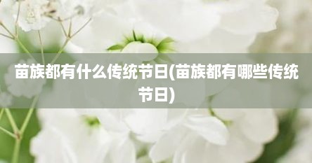 苗族都有什么传统节日(苗族都有哪些传统节日)