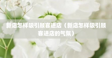 新店怎样吸引顾客进店（新店怎样吸引顾客进店的气氛）