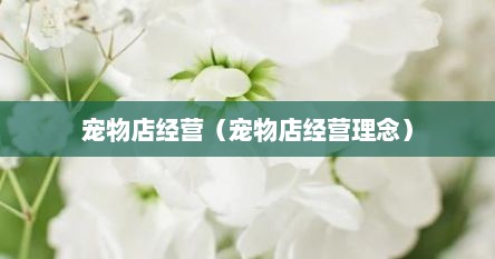 宠物店经营（宠物店经营理念）