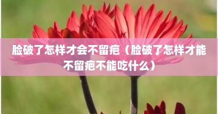 脸破了怎样才会不留疤（脸破了怎样才能不留疤不能吃什么）