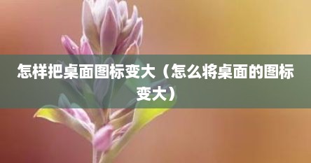 怎样把桌面图标变大（怎么将桌面的图标变大）
