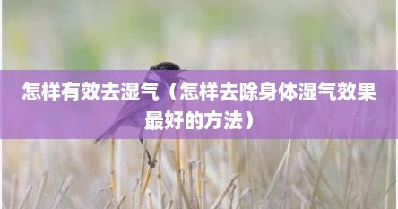 怎样有效去湿气（怎样去除身体湿气效果最好的方法）