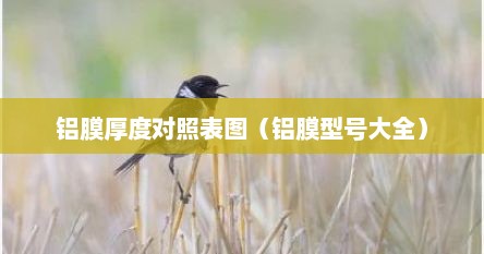 铝膜厚度对照表图（铝膜型号大全）