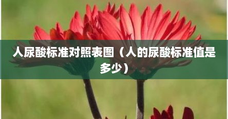 人尿酸正常（人身体的尿酸参考范围）