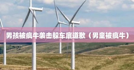 男孩被疯牛袭击躲车底道歉（男童被疯牛）