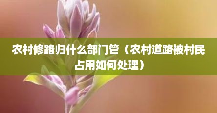 农村修路归什么部门管（农村道路被村民占用如何处理）