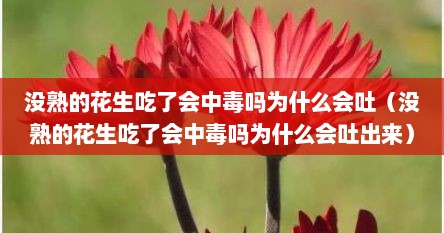 没熟的花生吃了会中毒吗为什么会吐（没熟的花生吃了会中毒吗为什么会吐出来）