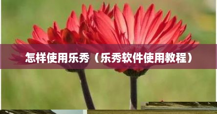 怎样使用乐秀（乐秀软件使用教程）