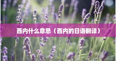 西内什么意思（西内的日语翻译）