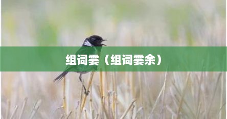 组词霎（组词霎余）