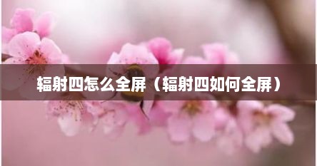 辐射四怎么全屏（辐射四如何全屏）