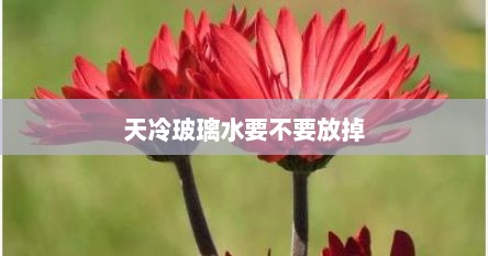 天冷玻璃水要不要放掉