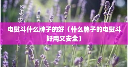 电熨斗什么牌子的好（什么牌子的电熨斗好用又安全）