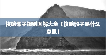 梭哈骰子规则图解大全（梭哈骰子是什么意思）