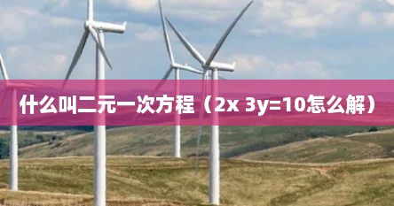 什么叫二元一次方程（2x 3y=10怎么解）