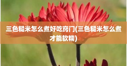 三色糙米怎么煮好吃窍门(三色糙米怎么煮才能软糯)