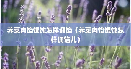 荠菜肉馅馄饨怎样调馅（荠菜肉馅馄饨怎样调馅儿）
