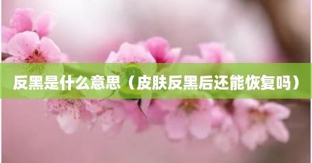 反黑是什么意思（皮肤反黑后还能恢复吗）