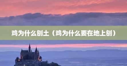 鸡为什么刨土（鸡为什么要在地上刨）