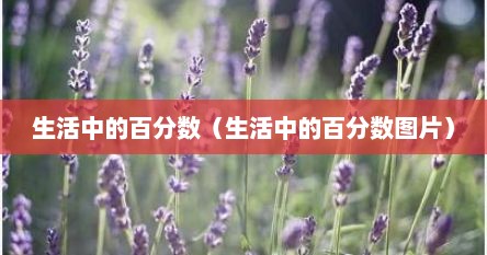 生活中的百分数（生活中的百分数图片）