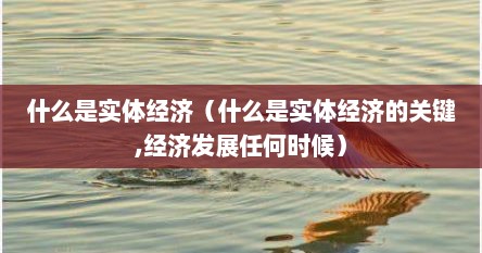 什么是实体经济（什么是实体经济的关键,经济发展任何时候）