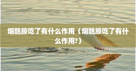 烟酰胺吃了有什么作用（烟酰胺吃了有什么作用?）