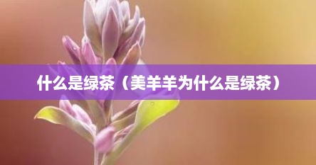 什么是绿茶（美羊羊为什么是绿茶）